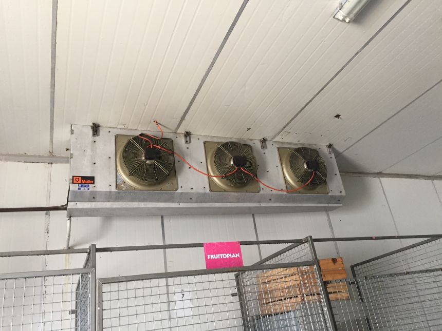 after image of cleaned storage fan ceilings